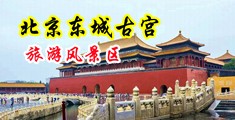 农民工强奸处女学生妹中国北京-东城古宫旅游风景区